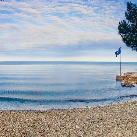 Terzija